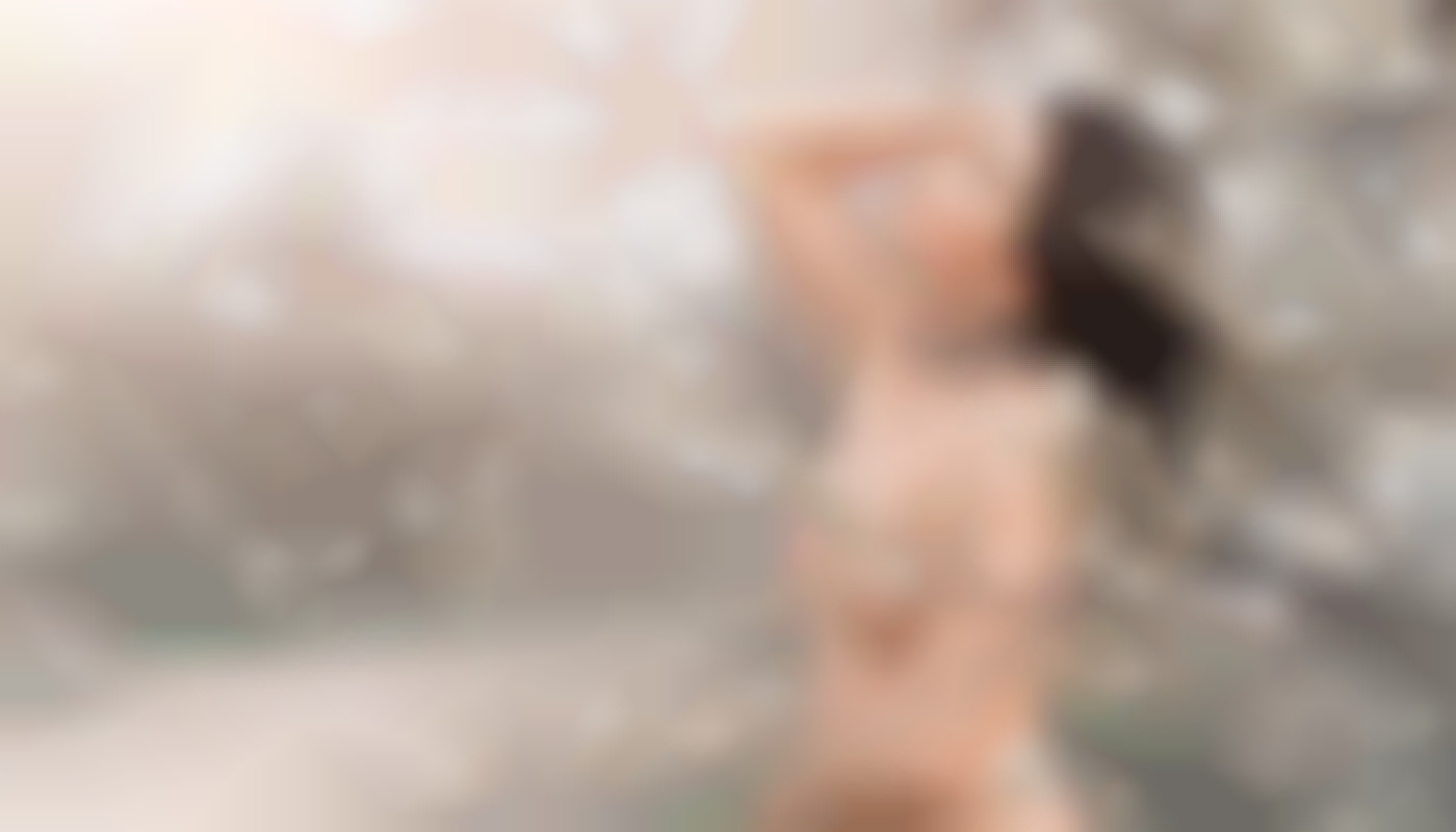 Comparatif entre le Womanizer Classic et le Womanizer Premium sur Amazon