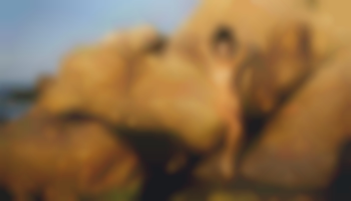 Découvrir les meilleures astuces pour progresser dans Animal Crossing